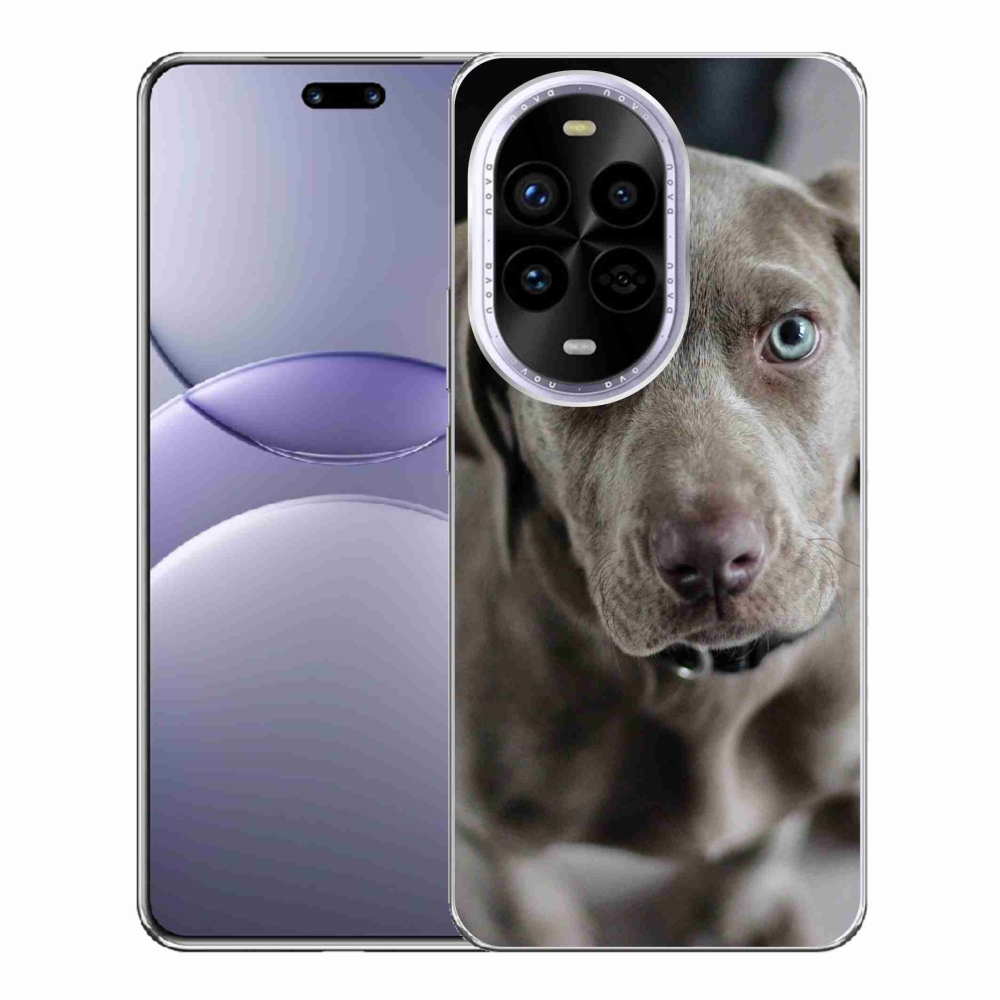 Gelový kryt mmCase na Huawei Nova 13 Pro 5G - výmarský ohař