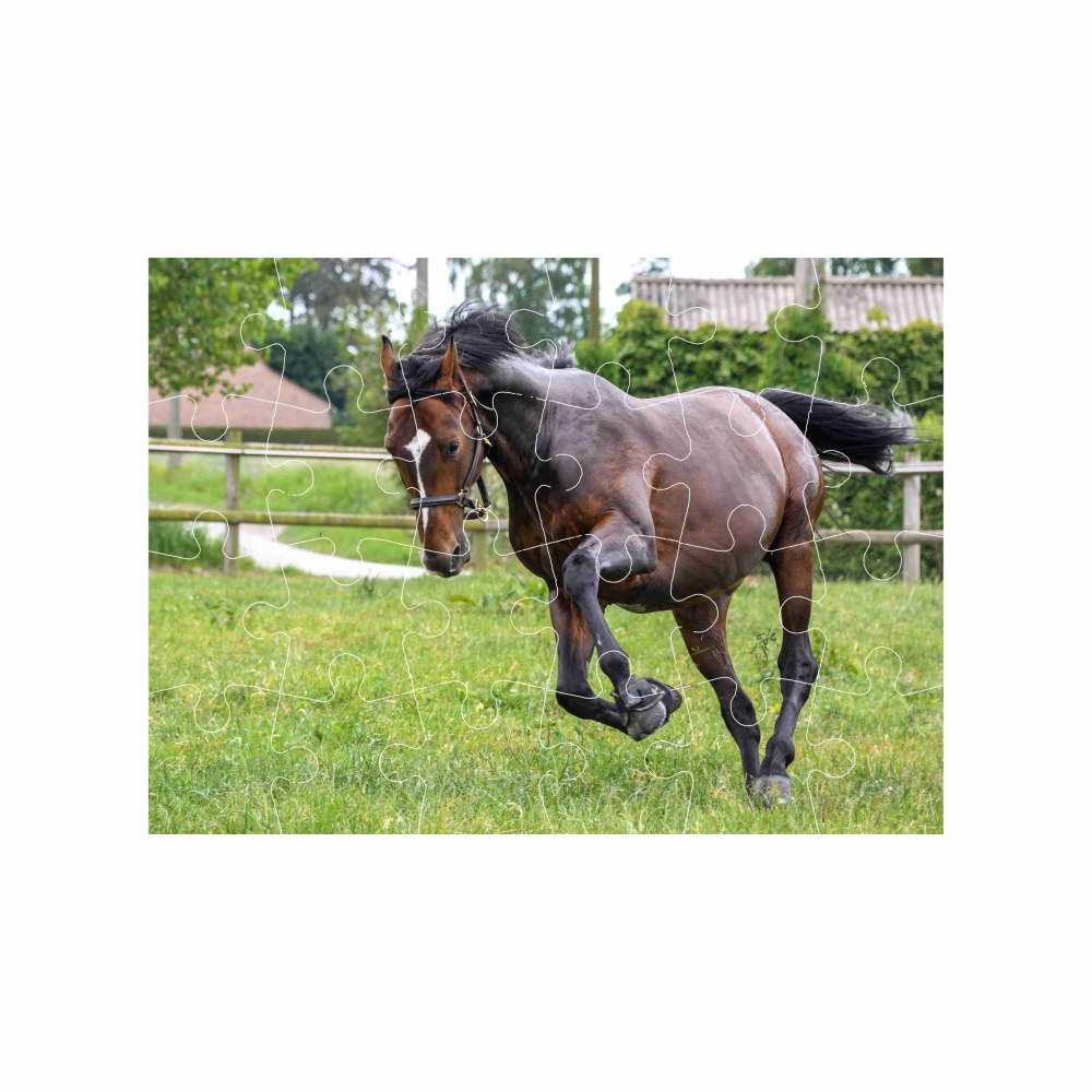 Puzzle 18x13cm (24 dílků) s obrázkem - běžící kůň