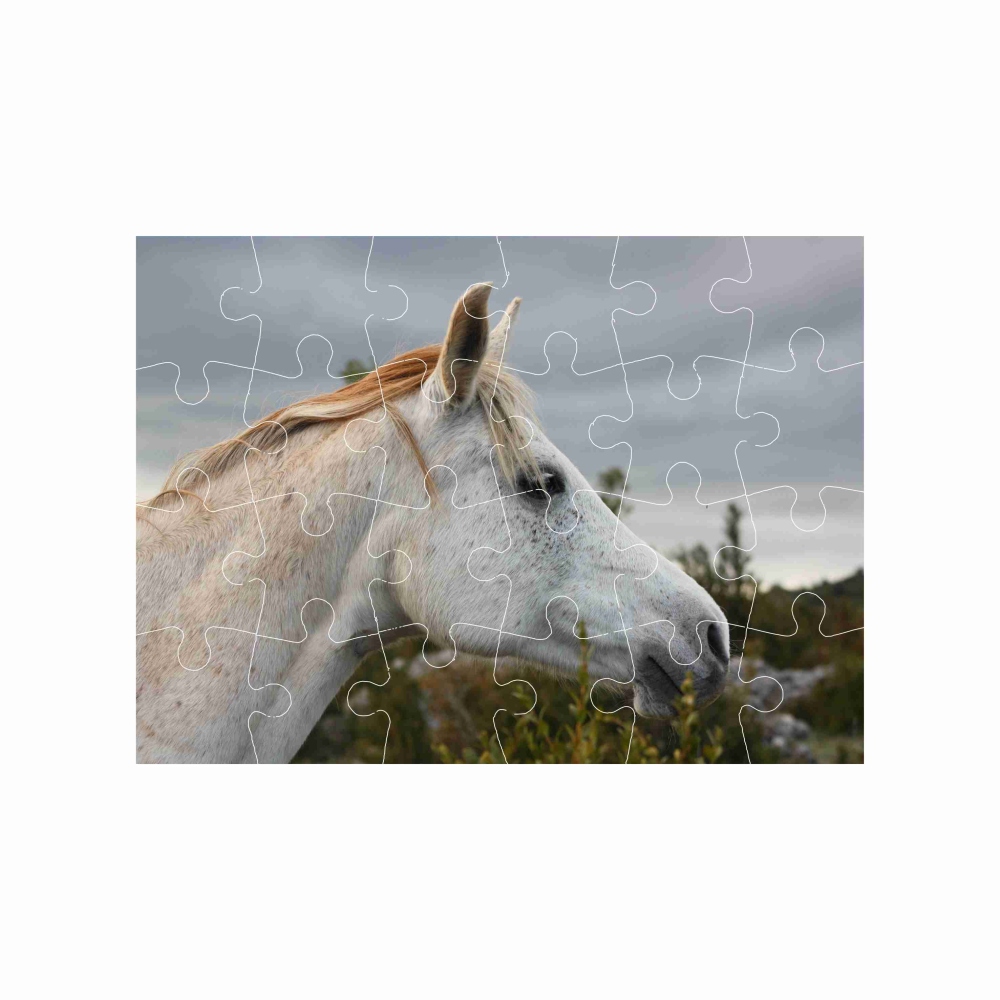 Puzzle 18x13cm (24 dílků) s obrázkem - bílý kůň