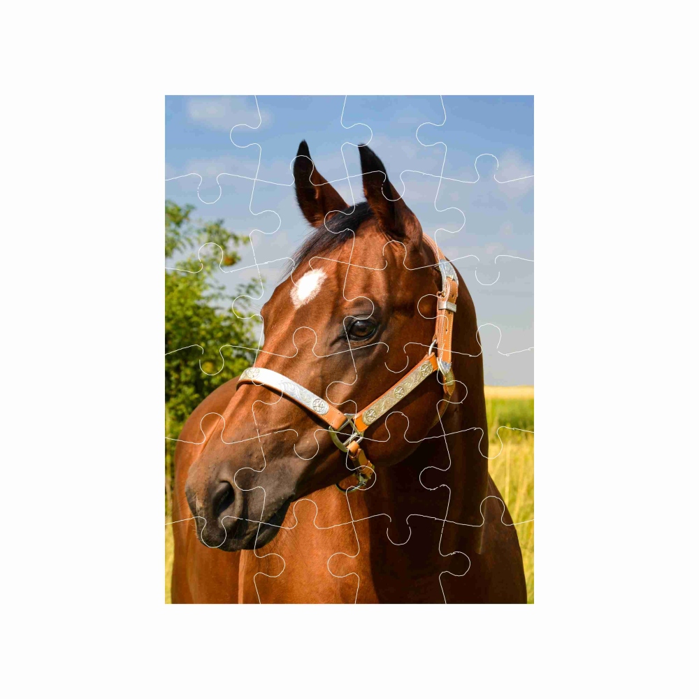 Puzzle 18x13cm (24 dílků) s obrázkem - hnědý kůň