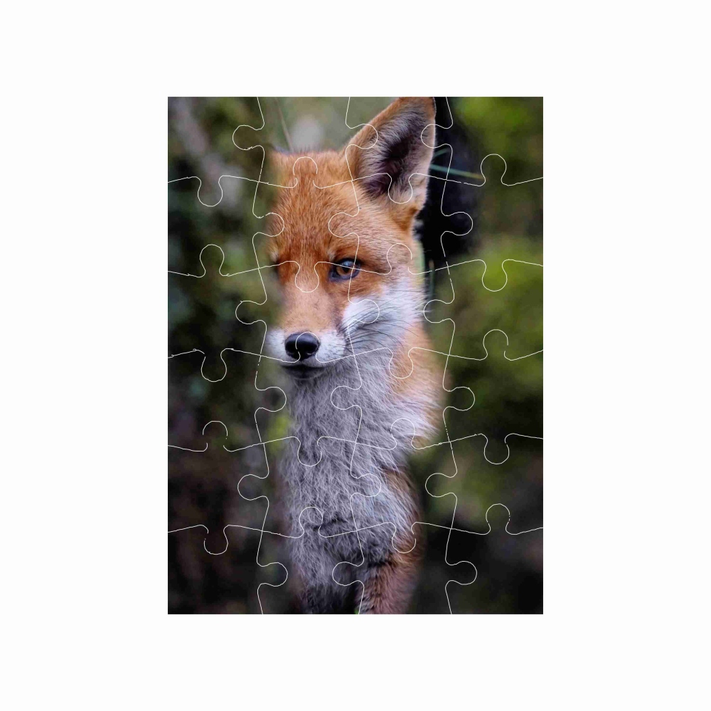 Puzzle 18x13cm (24 dílků) s obrázkem - liška