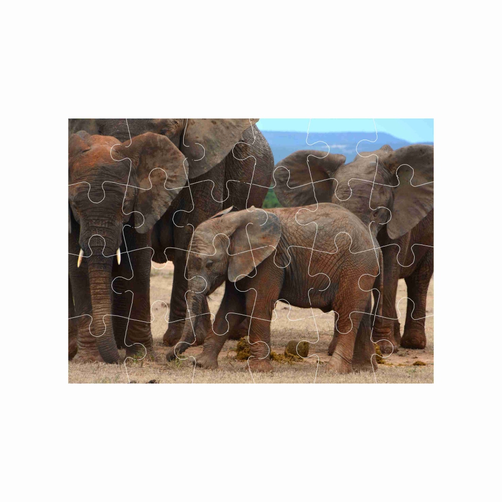 Puzzle 18x13cm (24 dílků) s obrázkem - sloní rodina
