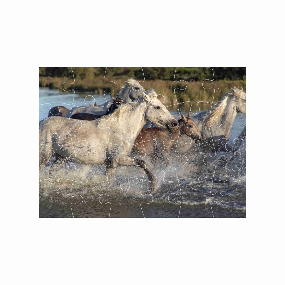 Puzzle 18x13cm (24 dílků) s obrázkem - stádo koní