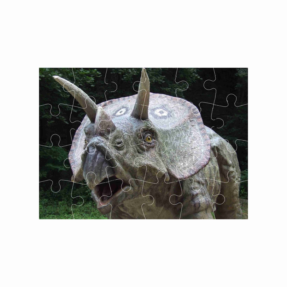 Puzzle 18x13cm (24 dílků) s obrázkem - triceratops