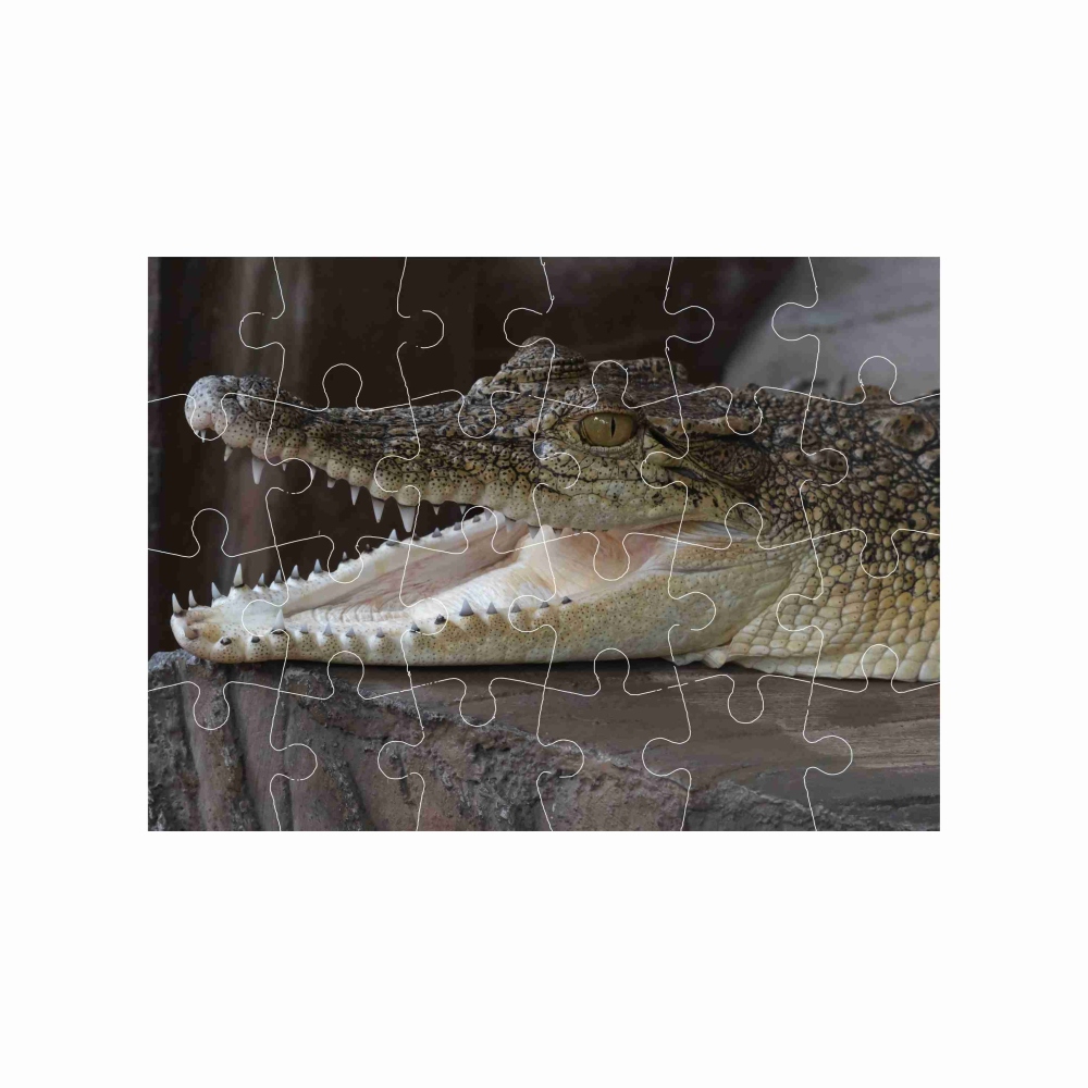 Puzzle 18x13cm (24 dílků) s obrázkem - usměvavý krokodýl