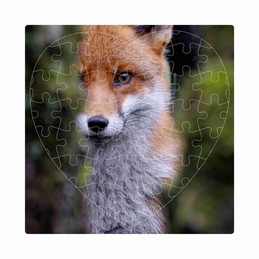Puzzle 19x18cm ve tvaru srdce (76 dílků) s obrázkem - liška