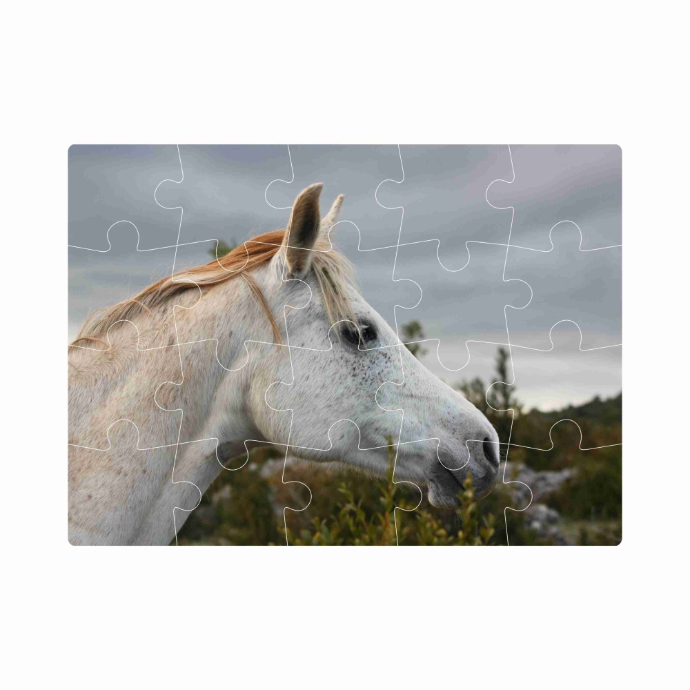 Puzzle 20x15cm (20 dílků) s obrázkem - bílý kůň