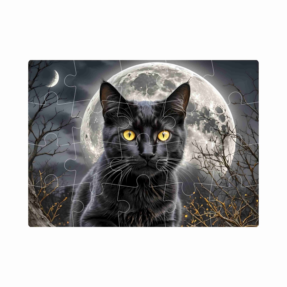 Puzzle 20x15cm (20 dílků) s obrázkem - černá kočka