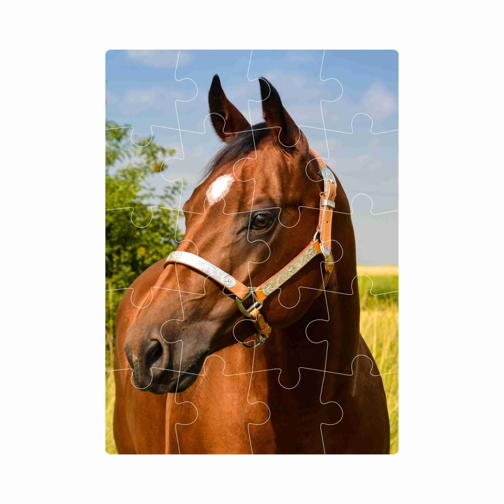 Puzzle 20x15cm (20 dílků) s obrázkem - hnědý kůň