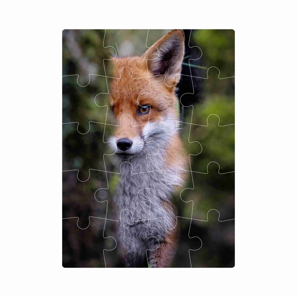 Puzzle 20x15cm (20 dílků) s obrázkem - liška