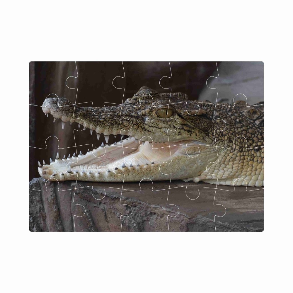 Puzzle 20x15cm (20 dílků) s obrázkem - usměvavý krokodýl
