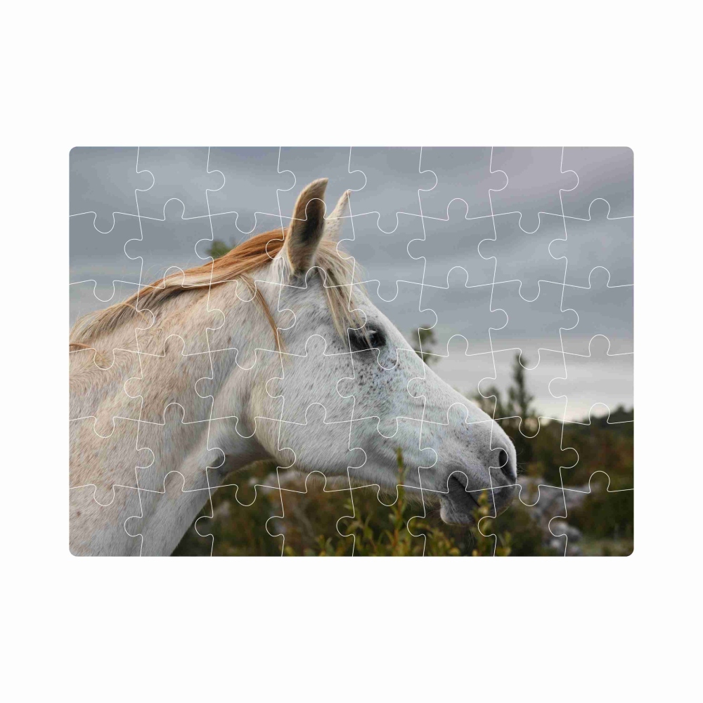 Puzzle 20x15cm (40 dílků) s obrázkem - bílý kůň