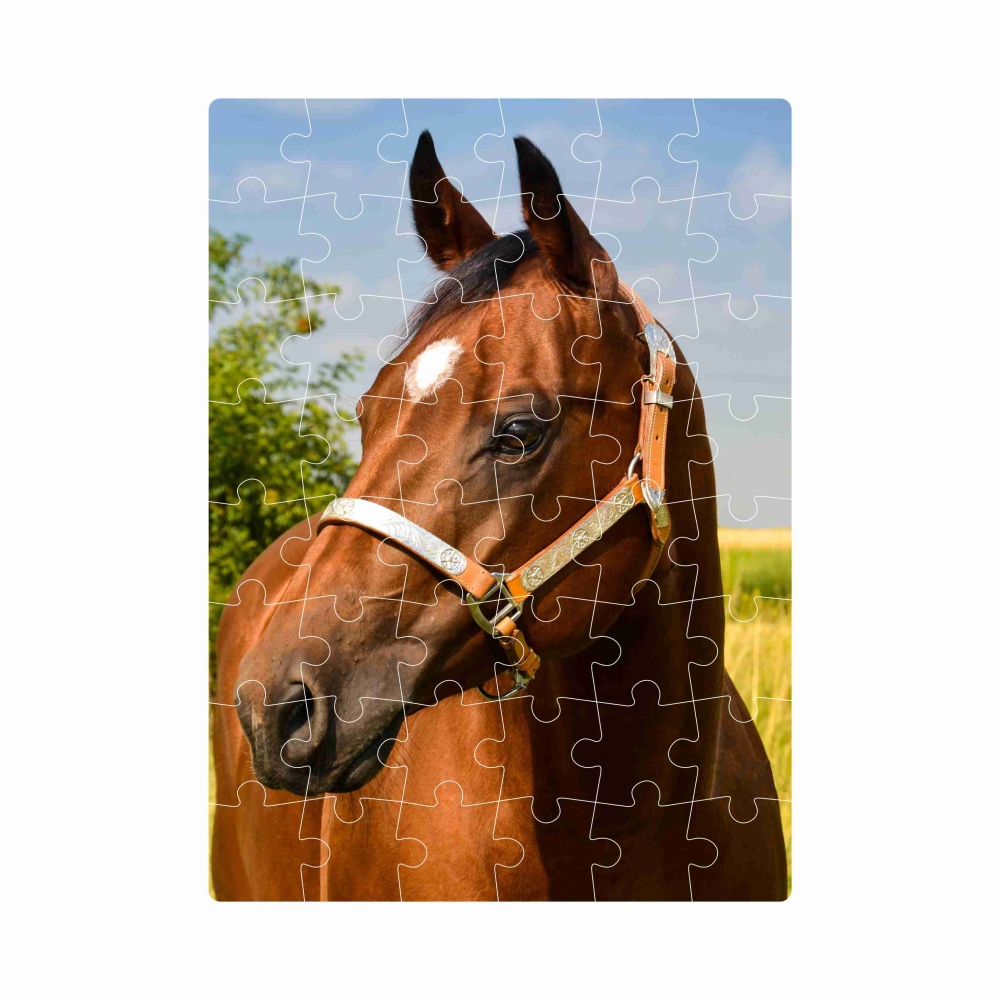 Puzzle 20x15cm (40 dílků) s obrázkem - hnědý kůň