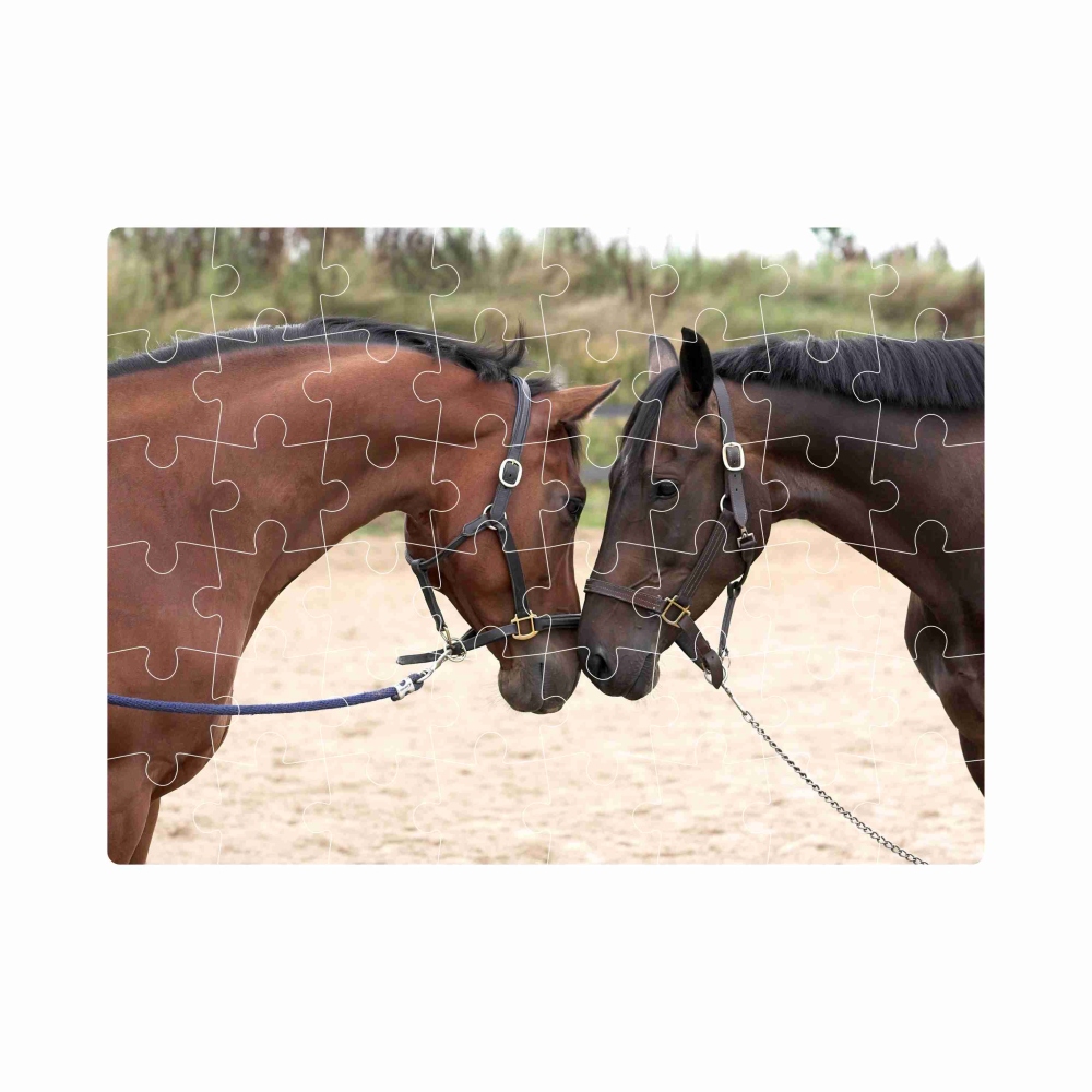 Puzzle 20x15cm (40 dílků) s obrázkem - koňský pozdrav