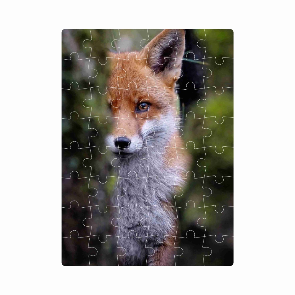 Puzzle 20x15cm (40 dílků) s obrázkem - liška