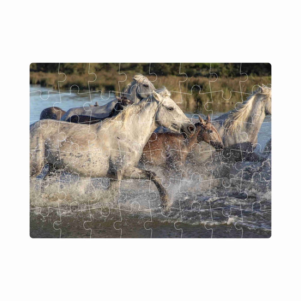 Puzzle 20x15cm (40 dílků) s obrázkem - stádo koní
