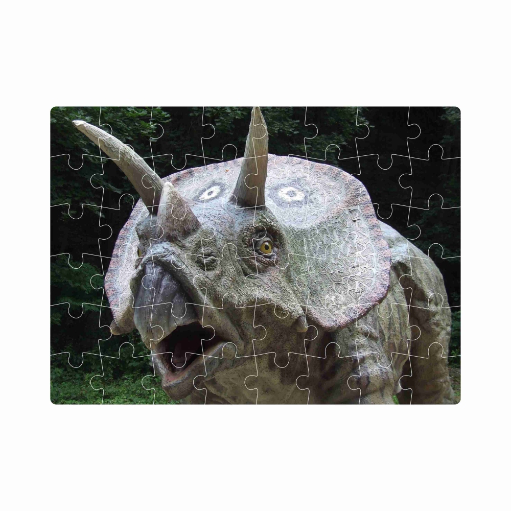 Puzzle 20x15cm (40 dílků) s obrázkem - triceratops