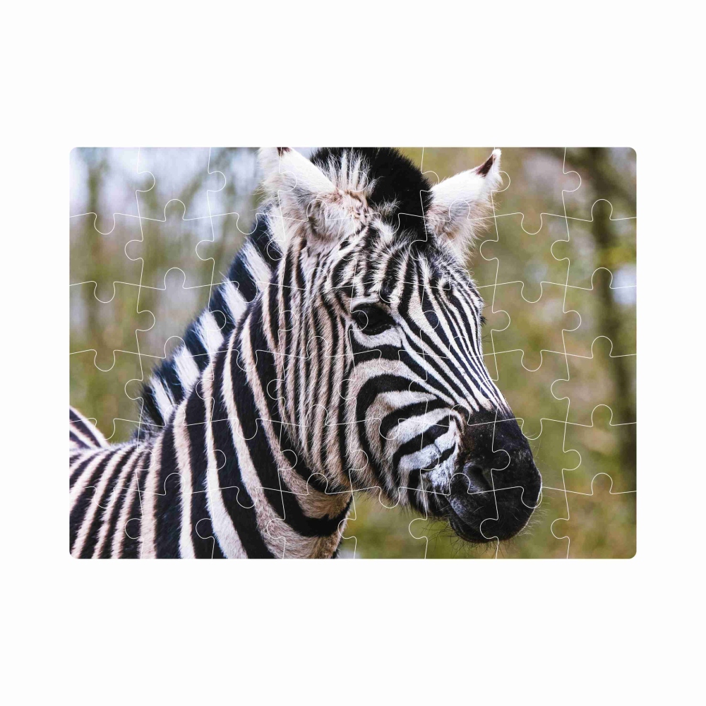 Puzzle 20x15cm (40 dílků) s obrázkem - zebra