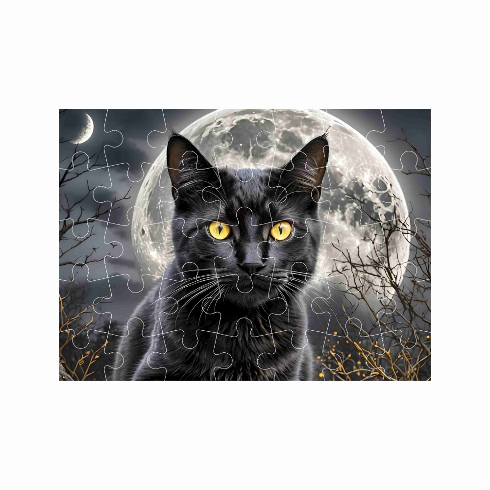 Puzzle 27x19,5cm (35 dílků) s obrázkem - černá kočka