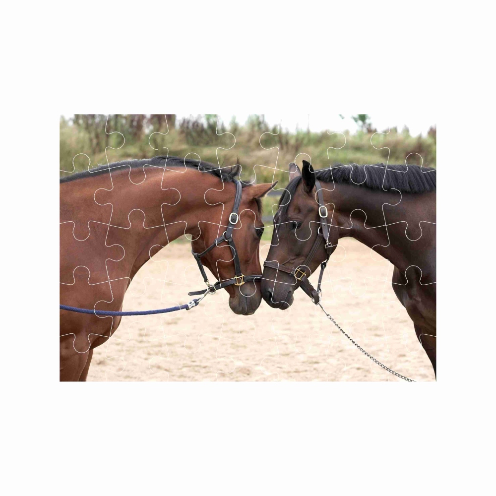 Puzzle 27x19,5cm (35 dílků) s obrázkem - koňský pozdrav