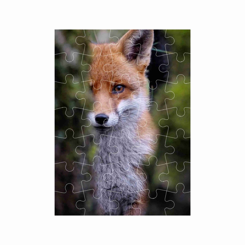 Puzzle 27x19,5cm (35 dílků) s obrázkem - liška
