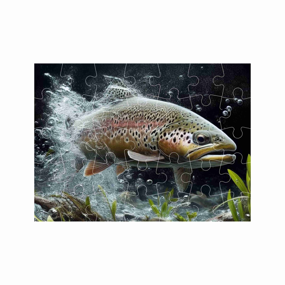 Puzzle 27x19,5cm (35 dílků) s obrázkem - pstruh