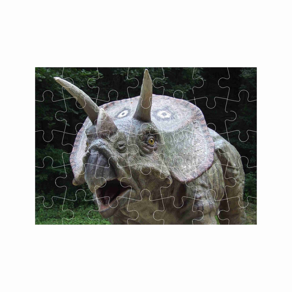 Puzzle 27x19,5cm (35 dílků) s obrázkem - triceratops