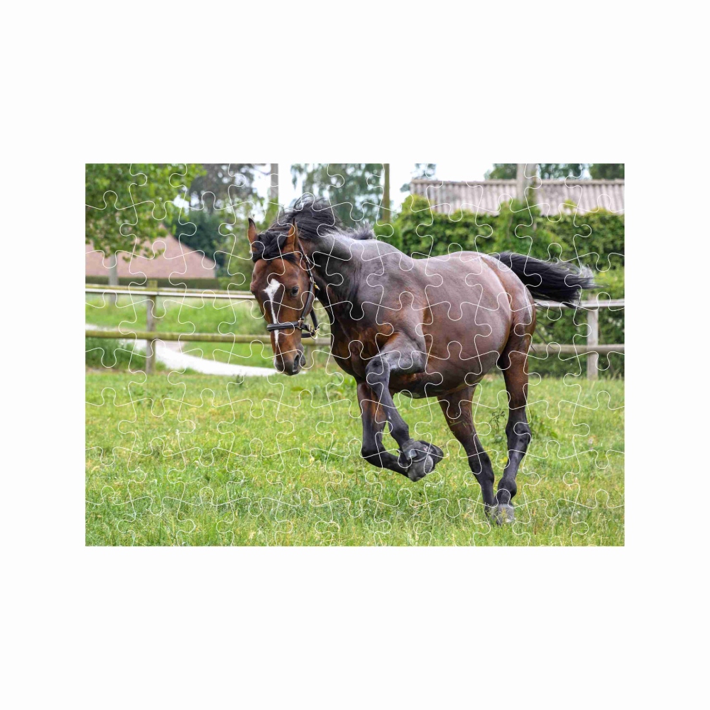 Puzzle 27x19,5cm (88 dílků) s obrázkem - běžící kůň