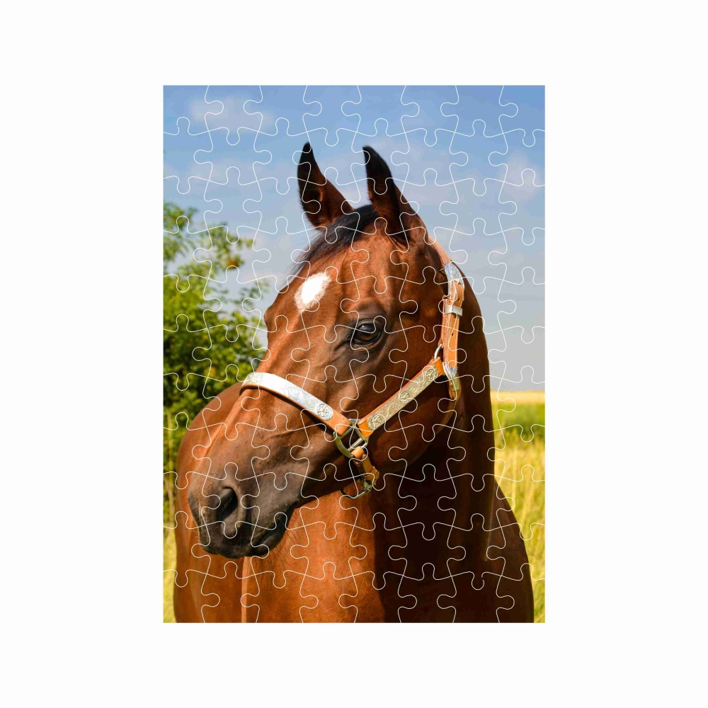 Puzzle 27x19,5cm (88 dílků) s obrázkem - hnědý kůň