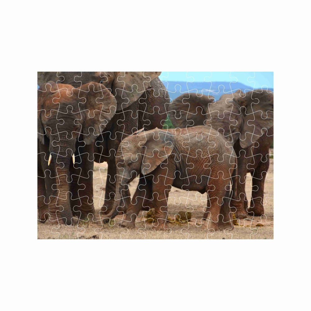 Puzzle 27x19,5cm (88 dílků) s obrázkem - sloní rodina