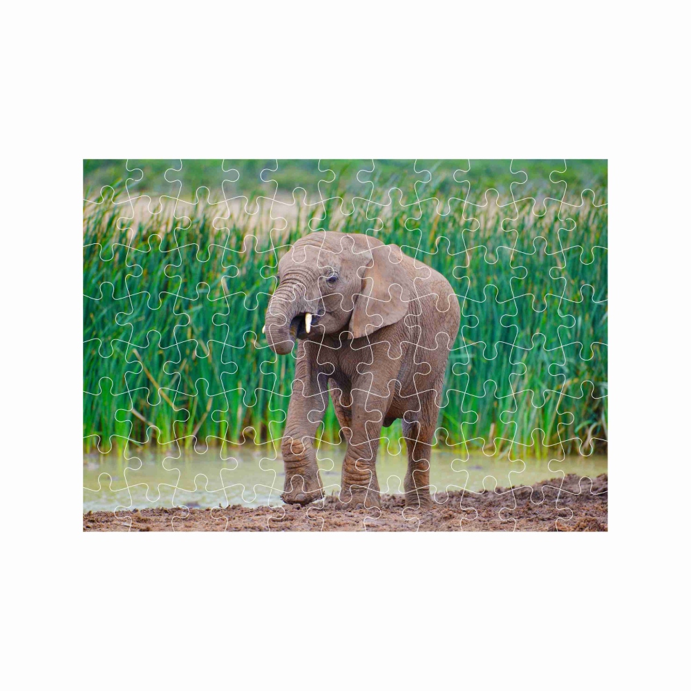 Puzzle 27x19,5cm (88 dílků) s obrázkem - slůně