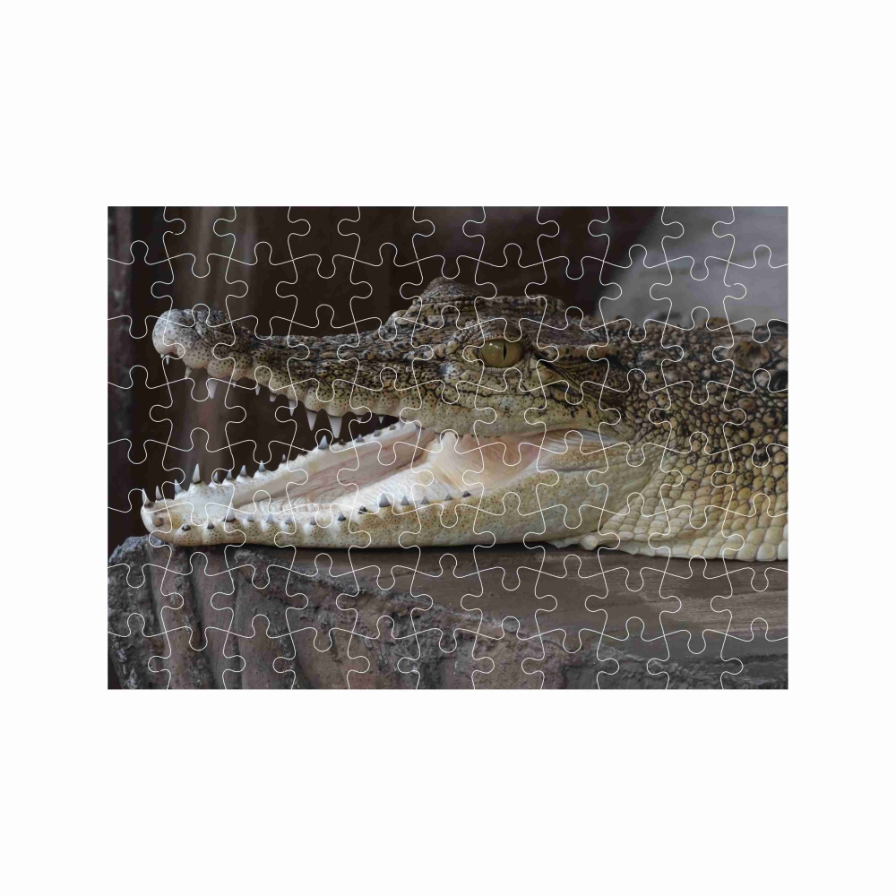 Puzzle 27x19,5cm (88 dílků) s obrázkem - usměvavý krokodýl