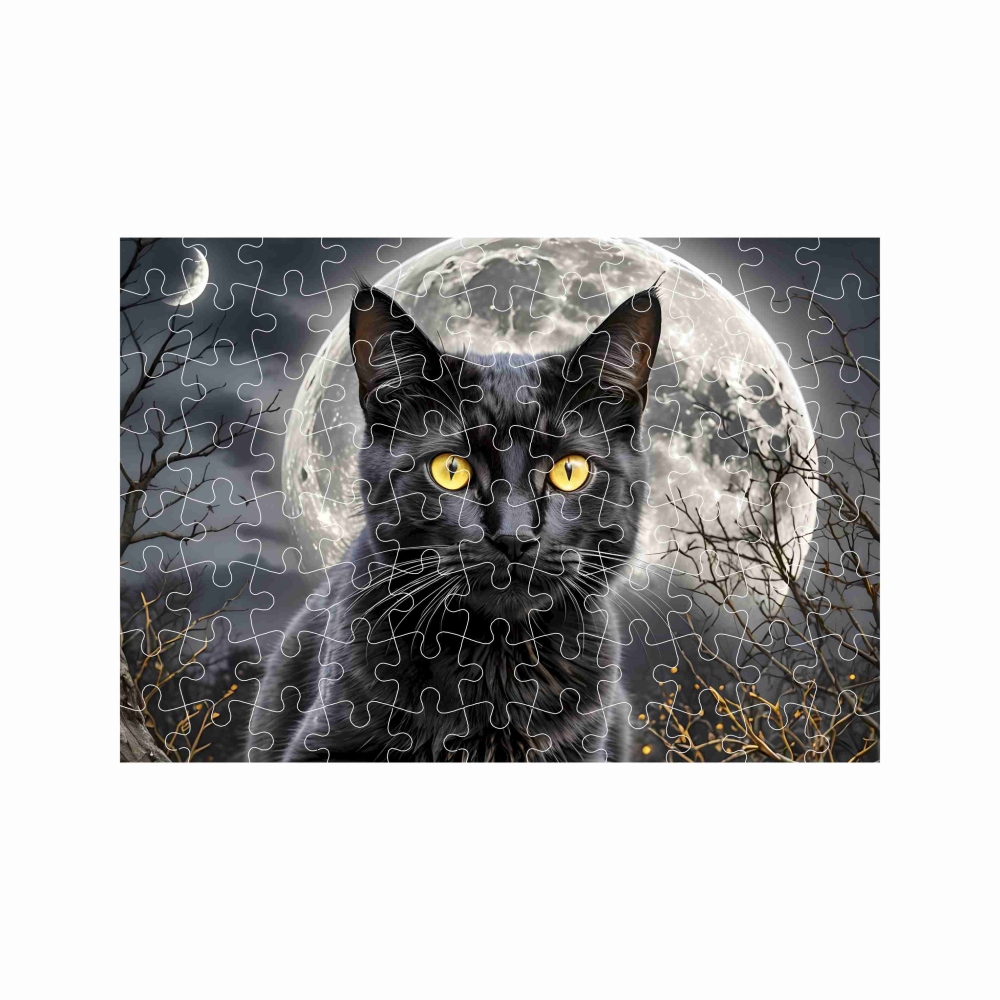 Puzzle A4 29x20cm (120 dílků) s obrázkem - černá kočka