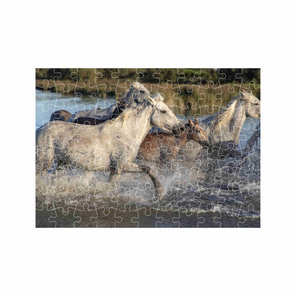 Puzzle A4 29x20cm (120 dílků) s obrázkem - stádo koní