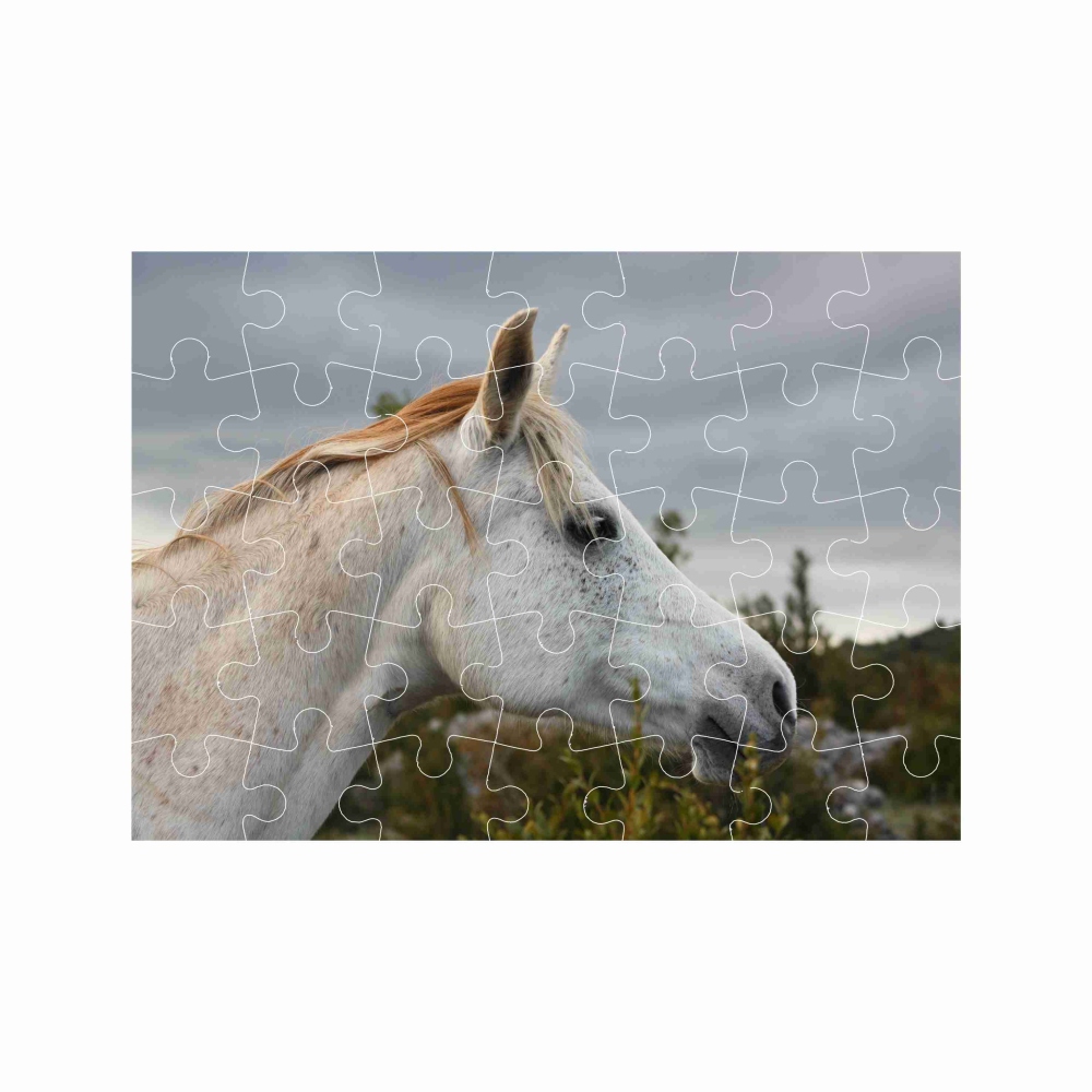 Puzzle A4 29x20cm (40 dílků) s obrázkem - bílý kůň