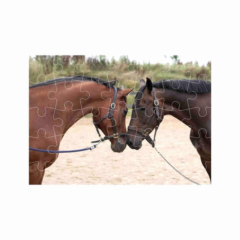 Puzzle A4 29x20cm (40 dílků) s obrázkem - koňský pozdrav