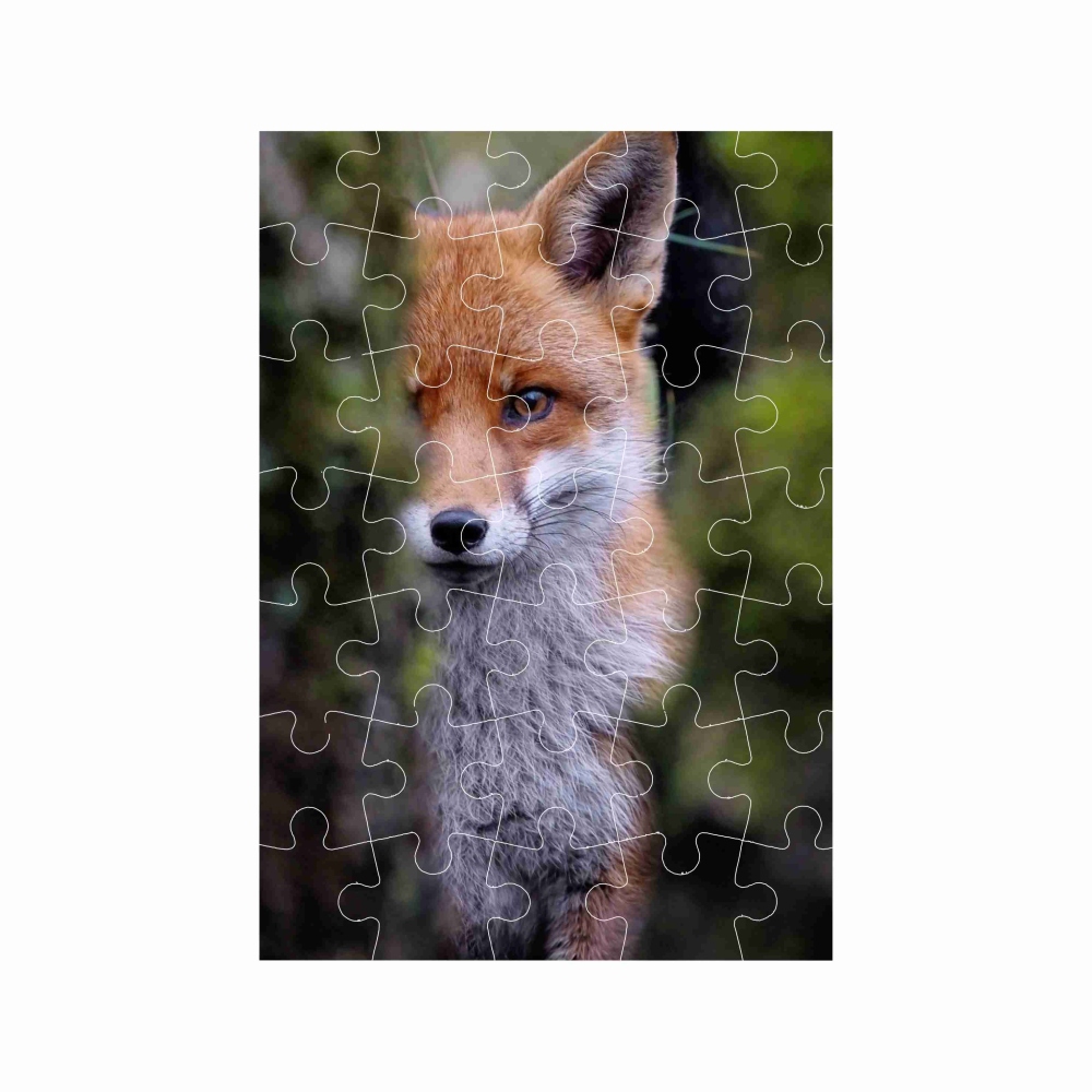Puzzle A4 29x20cm (40 dílků) s obrázkem - liška