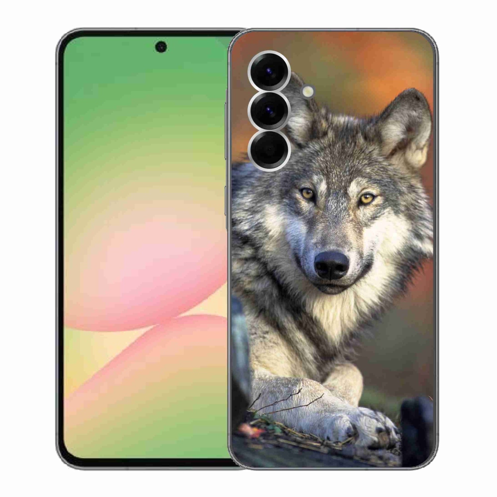 Gelový kryt mmCase na Samsung Galaxy A56 5G - vlk