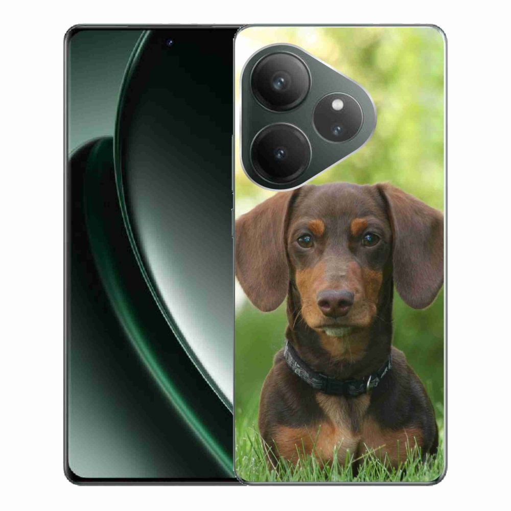 Gelový obal mmCase na Realme GT 6 5G/GT 6T 5G - hnědý jezevčík