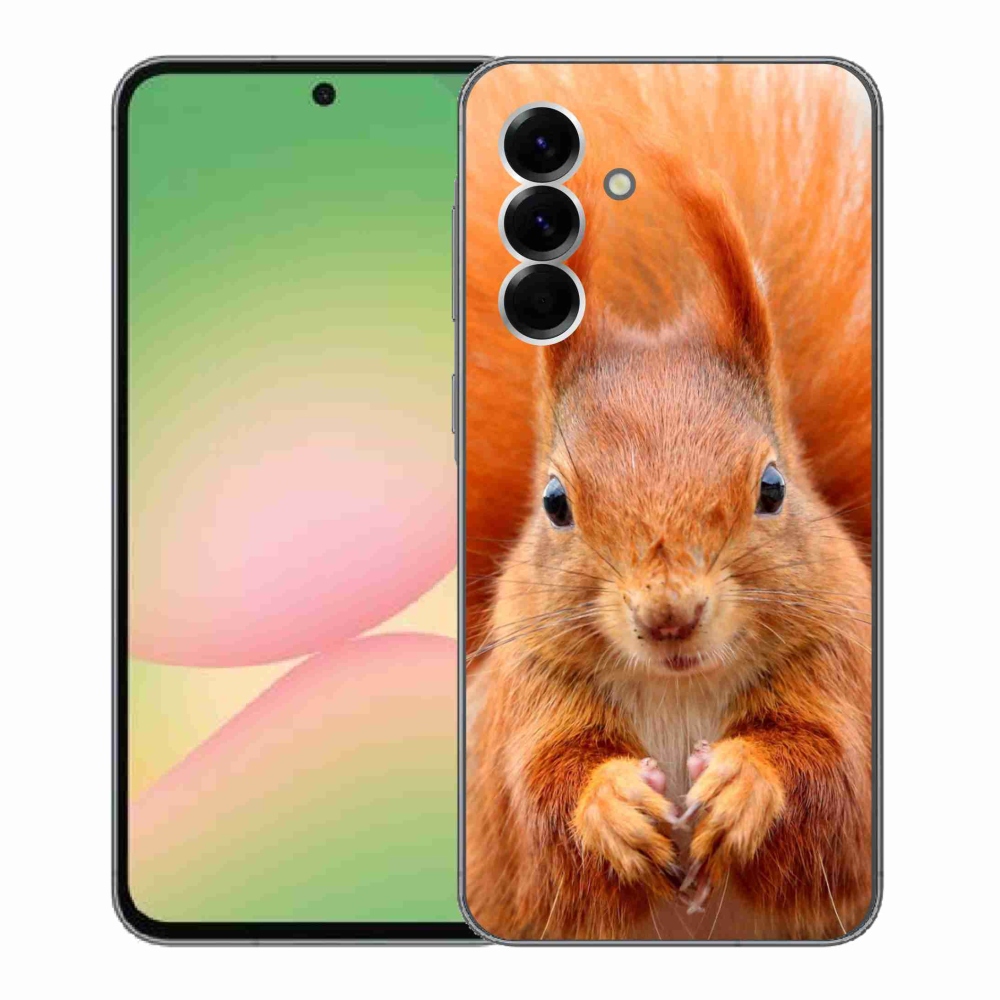 Gelový kryt mmCase na Samsung Galaxy A56 5G - veverka
