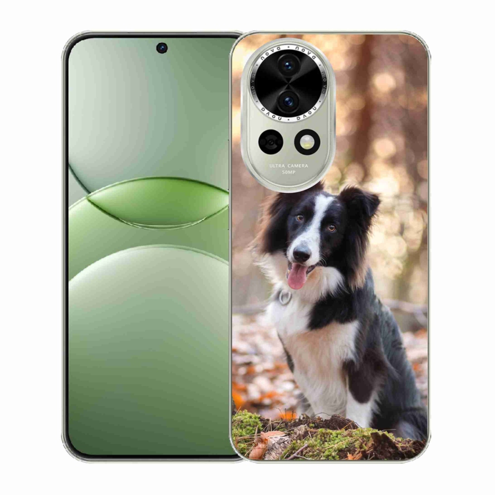 Gelový kryt mmCase na Huawei Nova 13 5G - border kolie 1