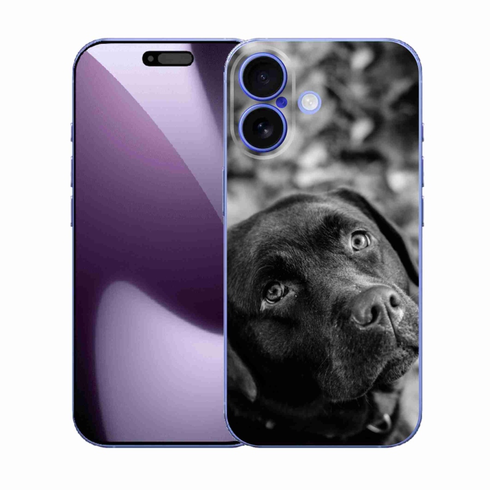 Gelový kryt mmCase na iPhone 17 - labrador