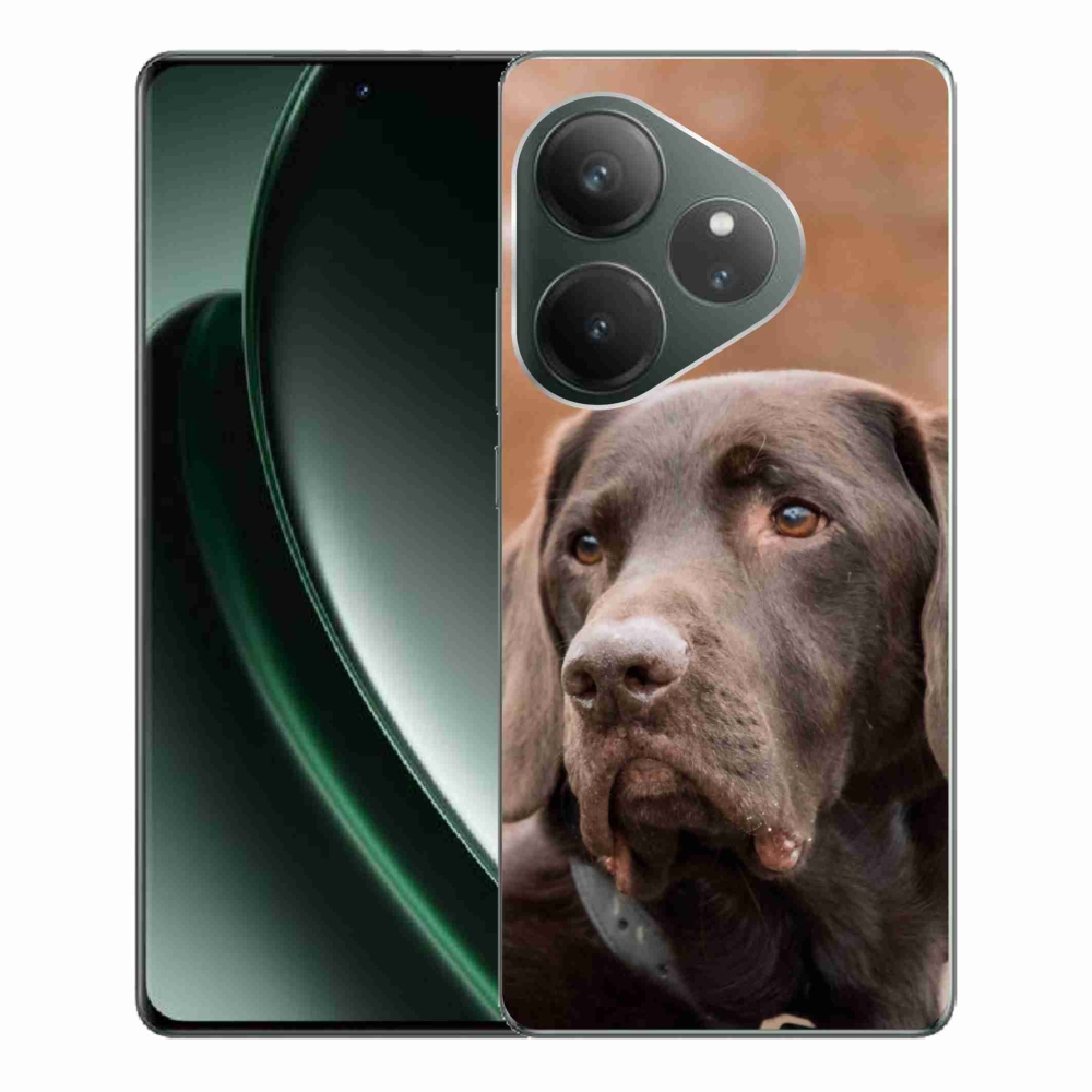 Gelový obal mmCase na Realme GT 6 5G/GT 6T 5G - hnědý labrador