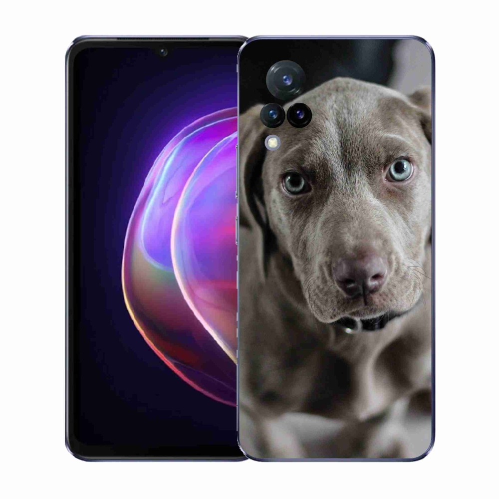 Gelový kryt mmCase na Vivo V21 4G/5G - výmarský ohař