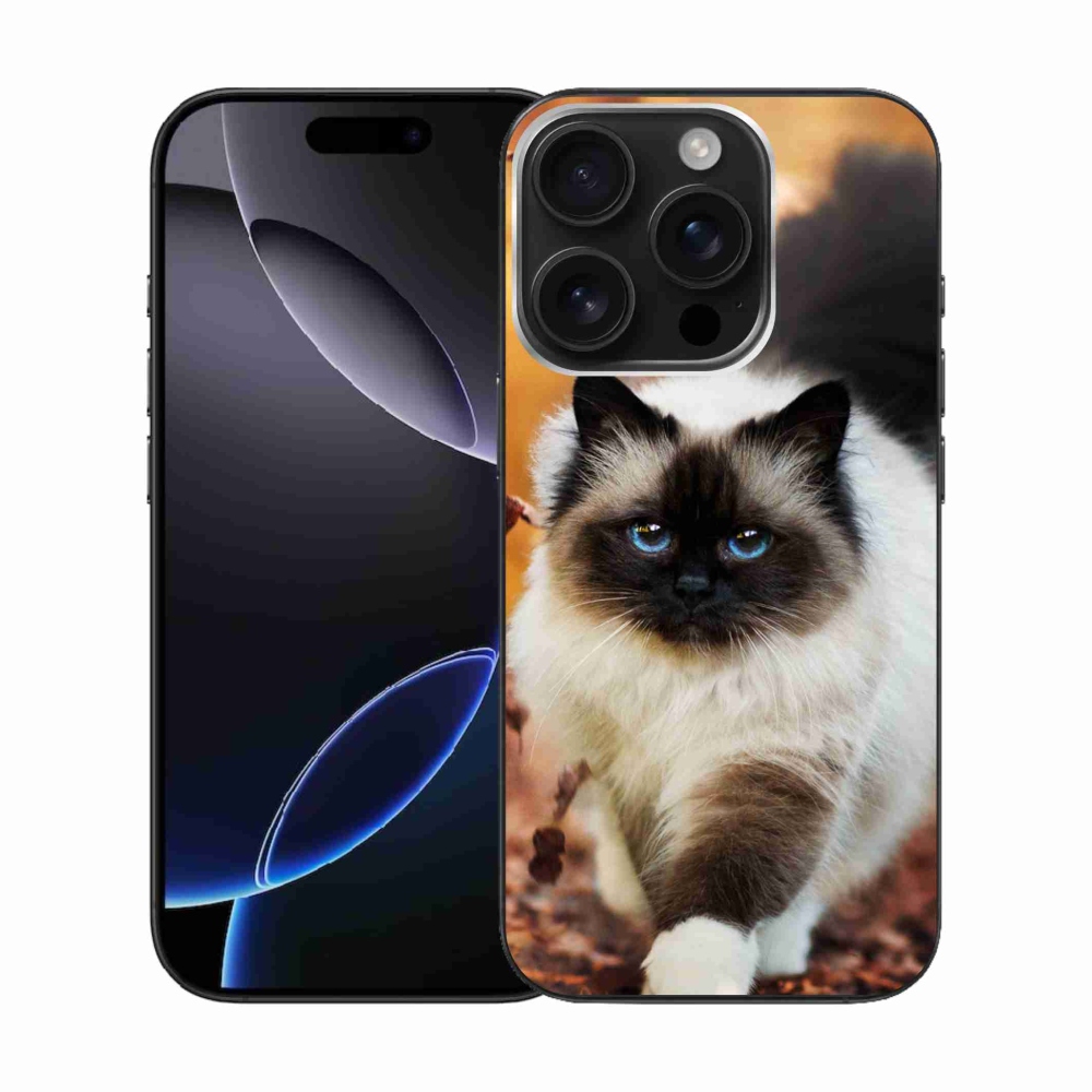 Gelový obal mmCase na iPhone 16 Pro - kočka