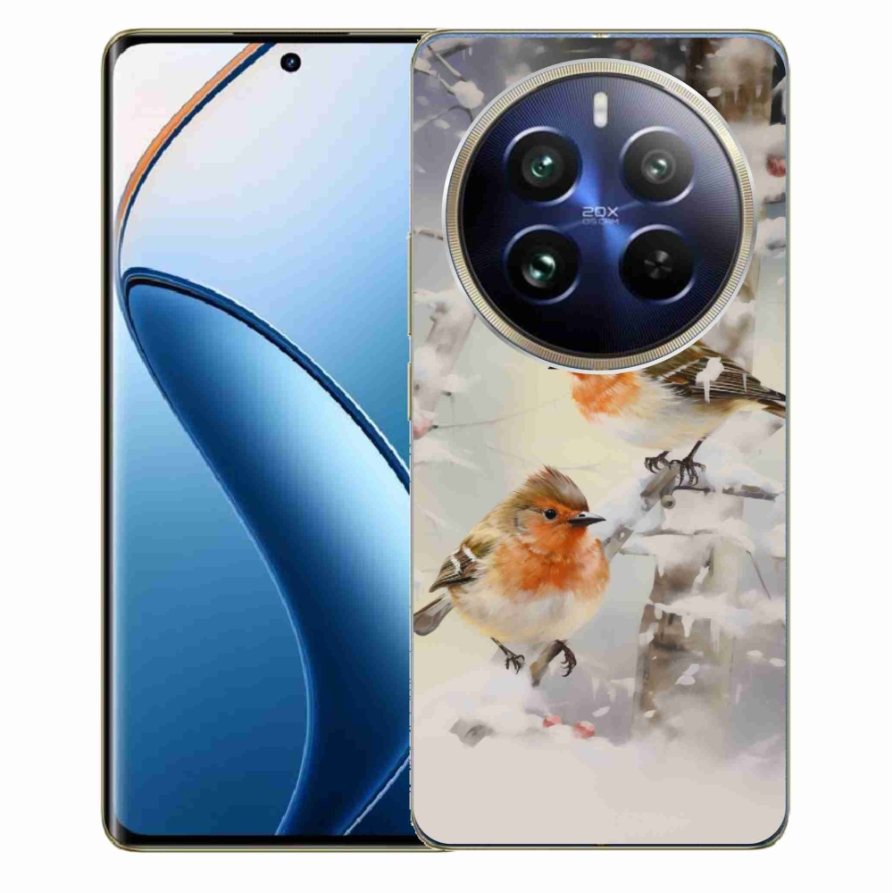 Gelový kryt mmCase na Realme 12 Pro 5G/12 Pro+ 5G - ptáčci v zimě
