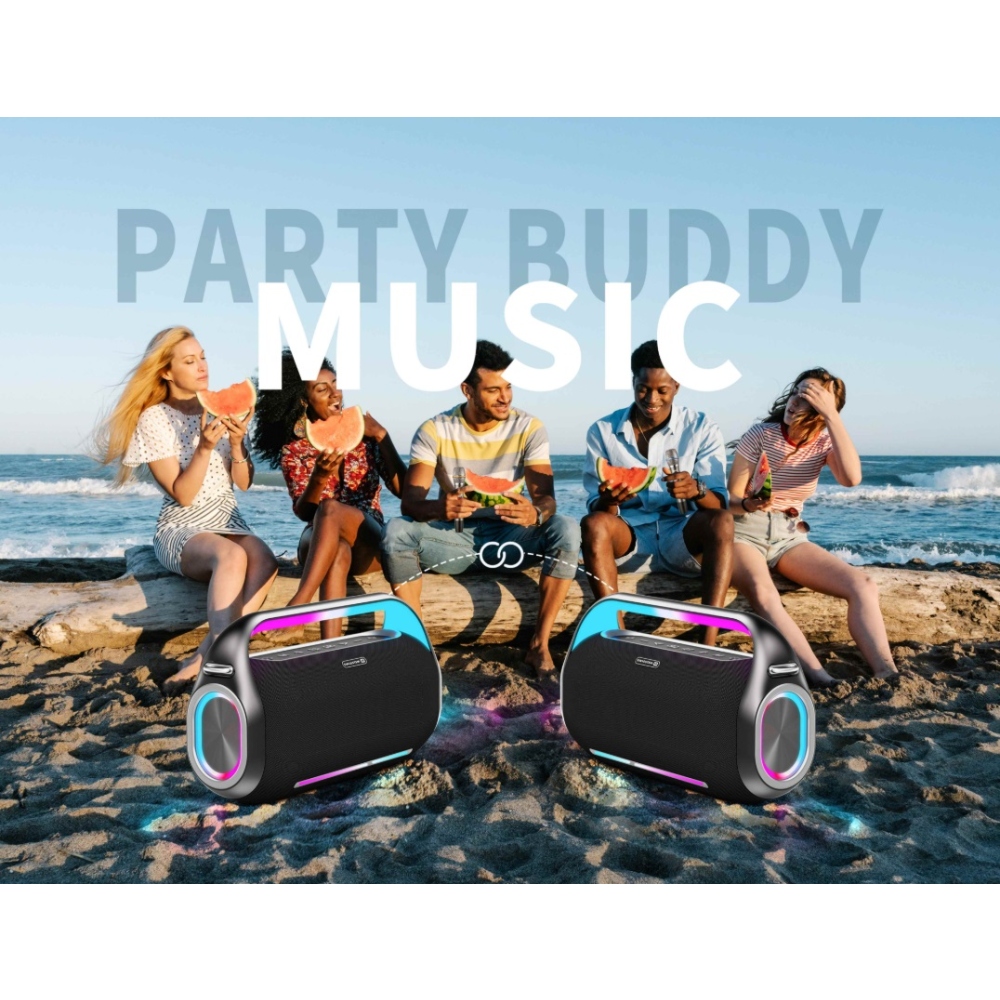 SWISSTEN Bluetooth reproduktor Harmony 300W - černý