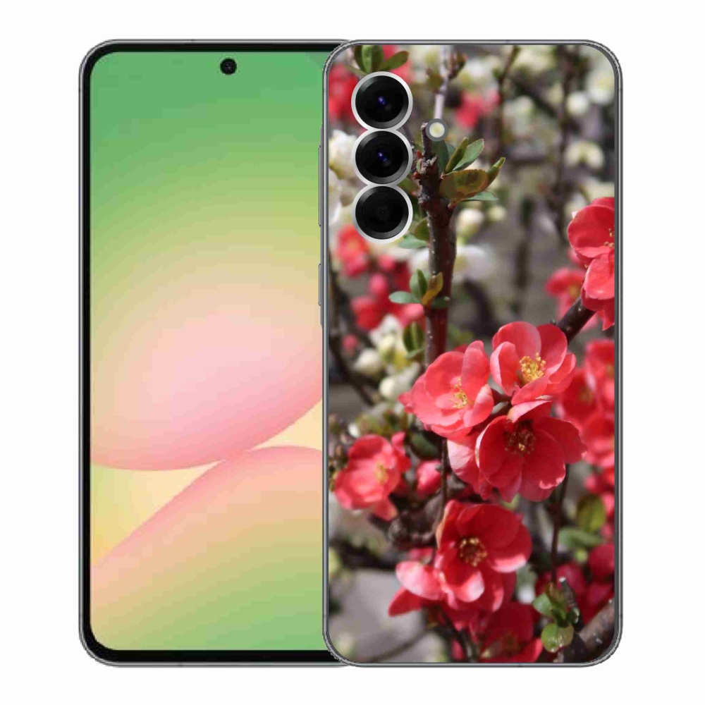 Gelový kryt mmCase na Samsung Galaxy A56 5G - červené květy