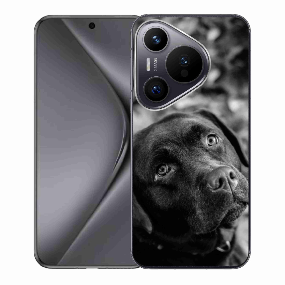 Gelový obal mmCase na Huawei Pura 70 - labrador
