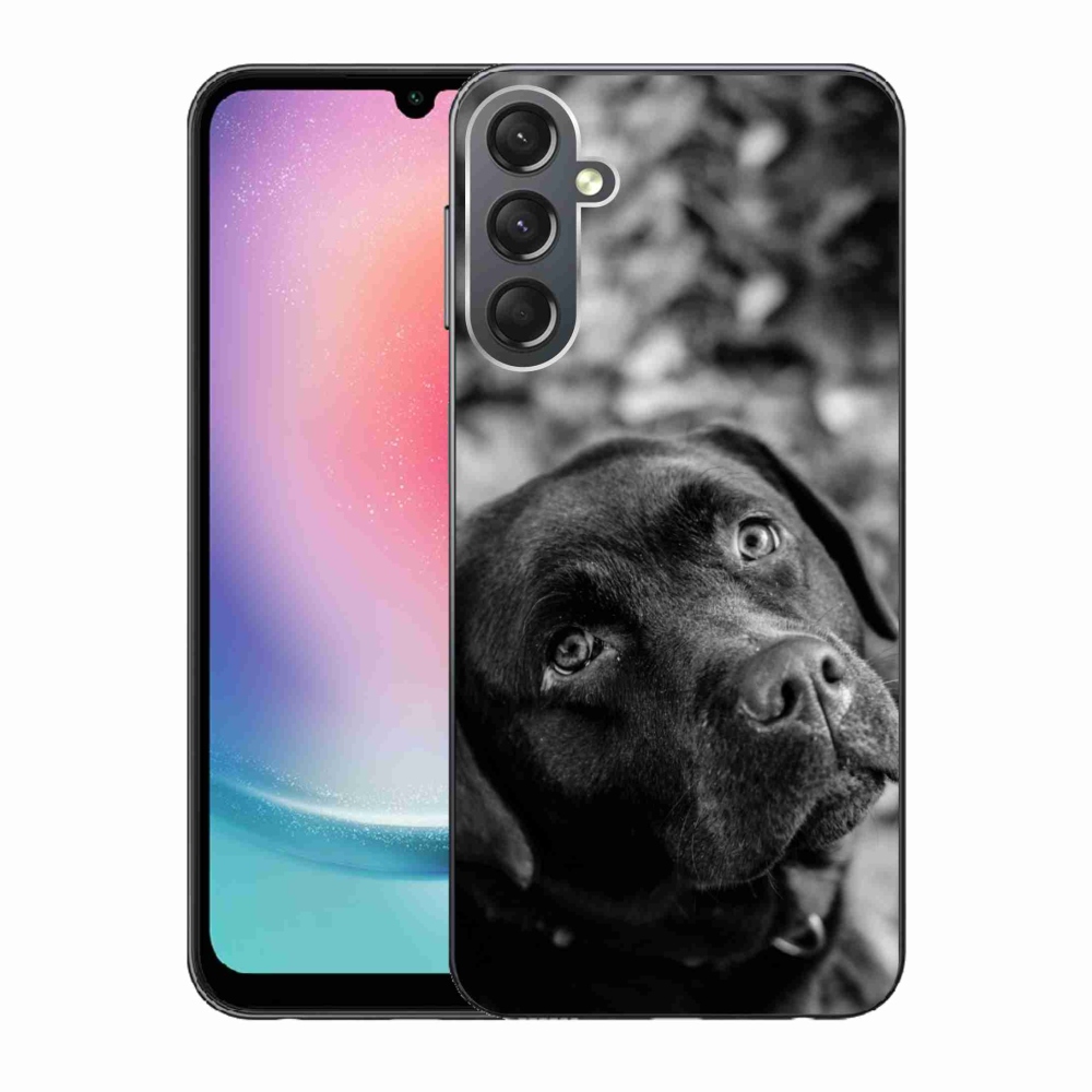 Gelový obal mmCase na Samsung Galaxy A24 - labrador